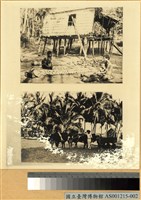 藏品(農村生業寫真)的圖片